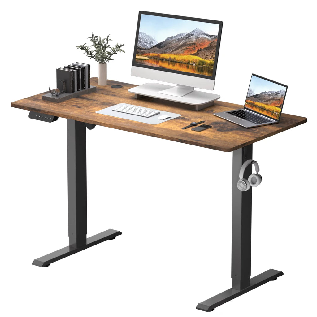 48 x 24 Inch Electric Standing Desk Y5586