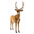 White Tailed Deer Plush Toy R3214