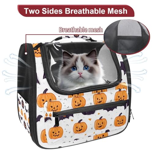 Ventilated Pet Travel Carrier D23847