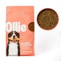 Beef Dish with Sweet Potatoes Dry Dog Food M171