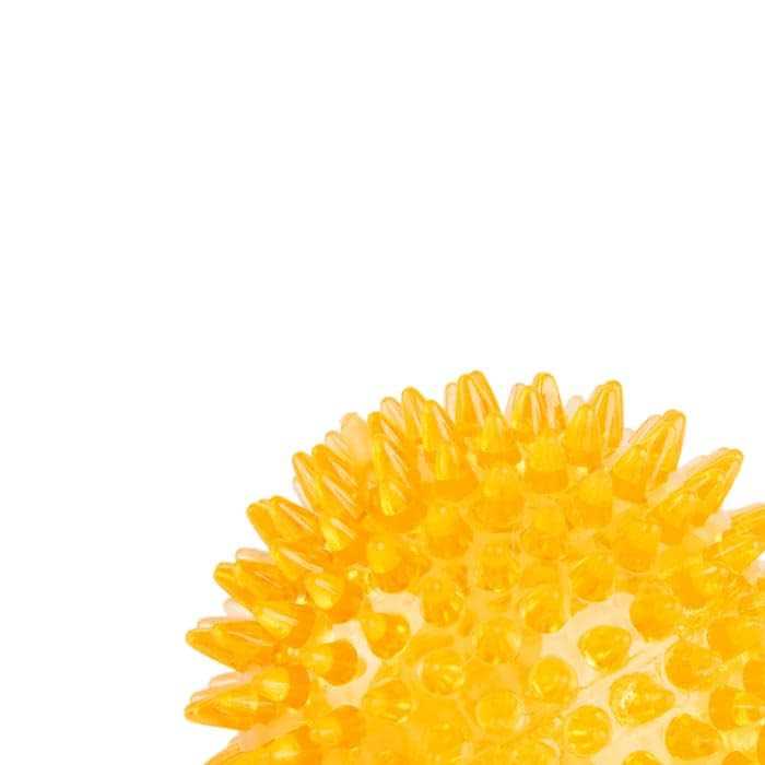Spiny Ball Dog Chew Toy W599