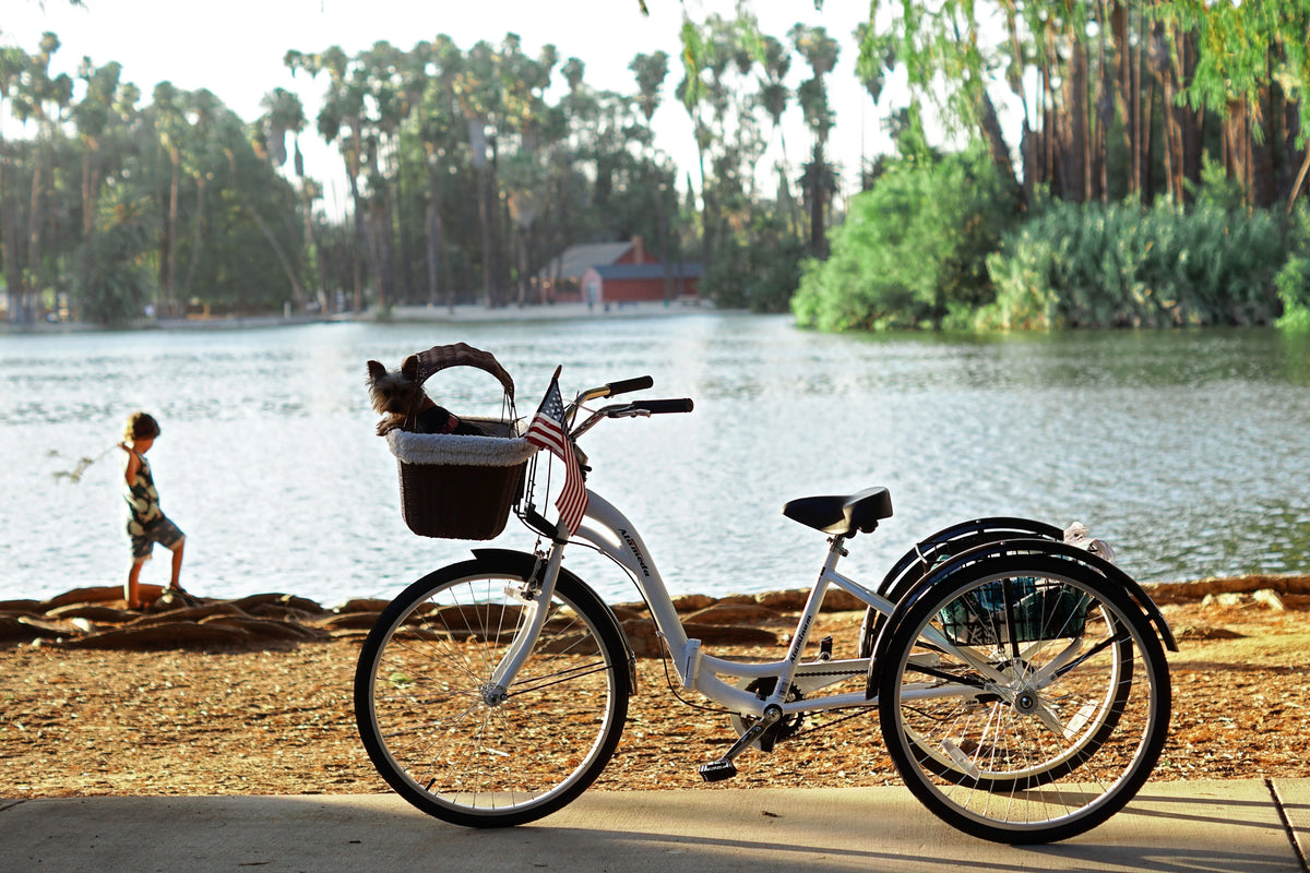 Blue Folding Adult Trike D700707