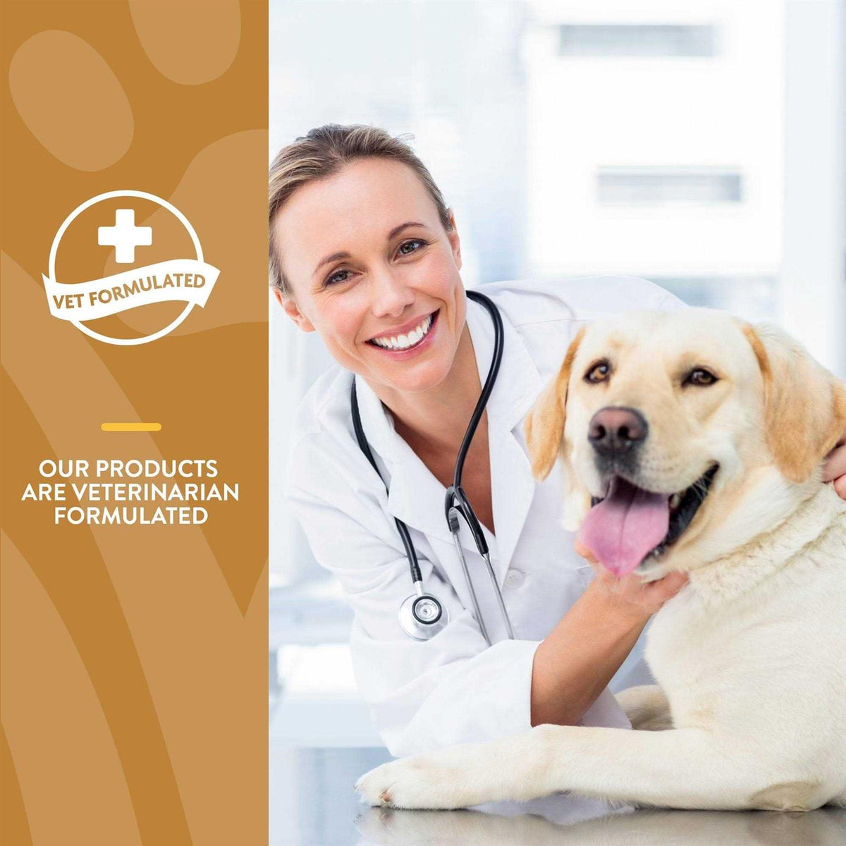 Omega Gold Plus Salmon Oil Soft Chews H170039