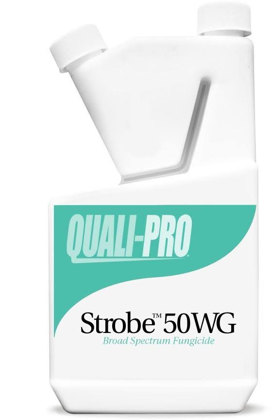Strobe 50WG Fungicide B57454