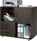2 Drawer Wood Mobile File Cabinet with Door W45436