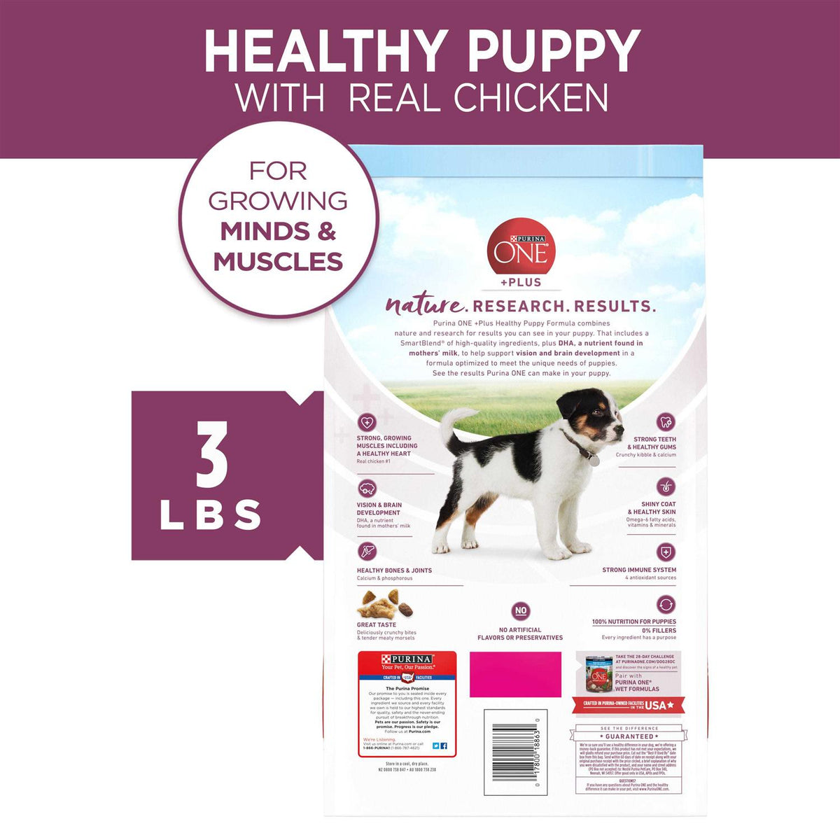 High Protein Dry Dog Food Y751