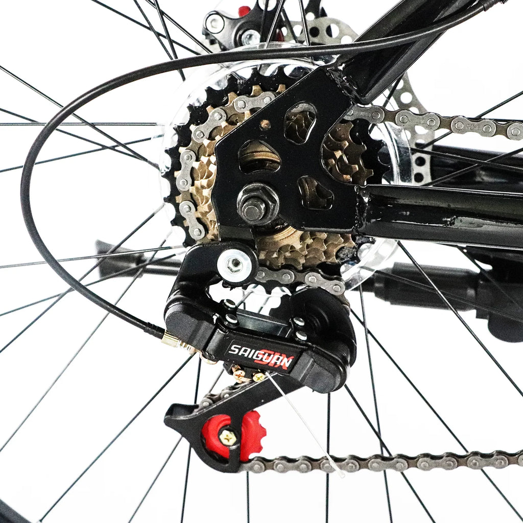 21 Speeds 26-inch Wheels Disc Brakes Mountain Bike P25639