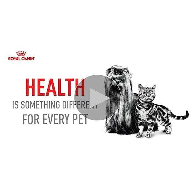 Adult Dry Dog Food M758