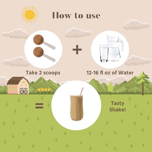 Chocolate Growth Protein Shake Powder E37780