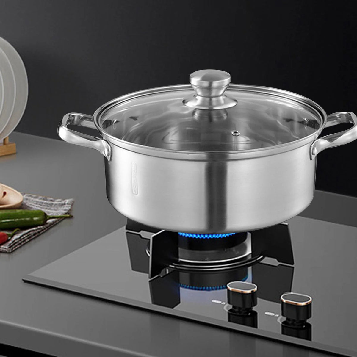 Stainless Steel Stockpot with Lid H262