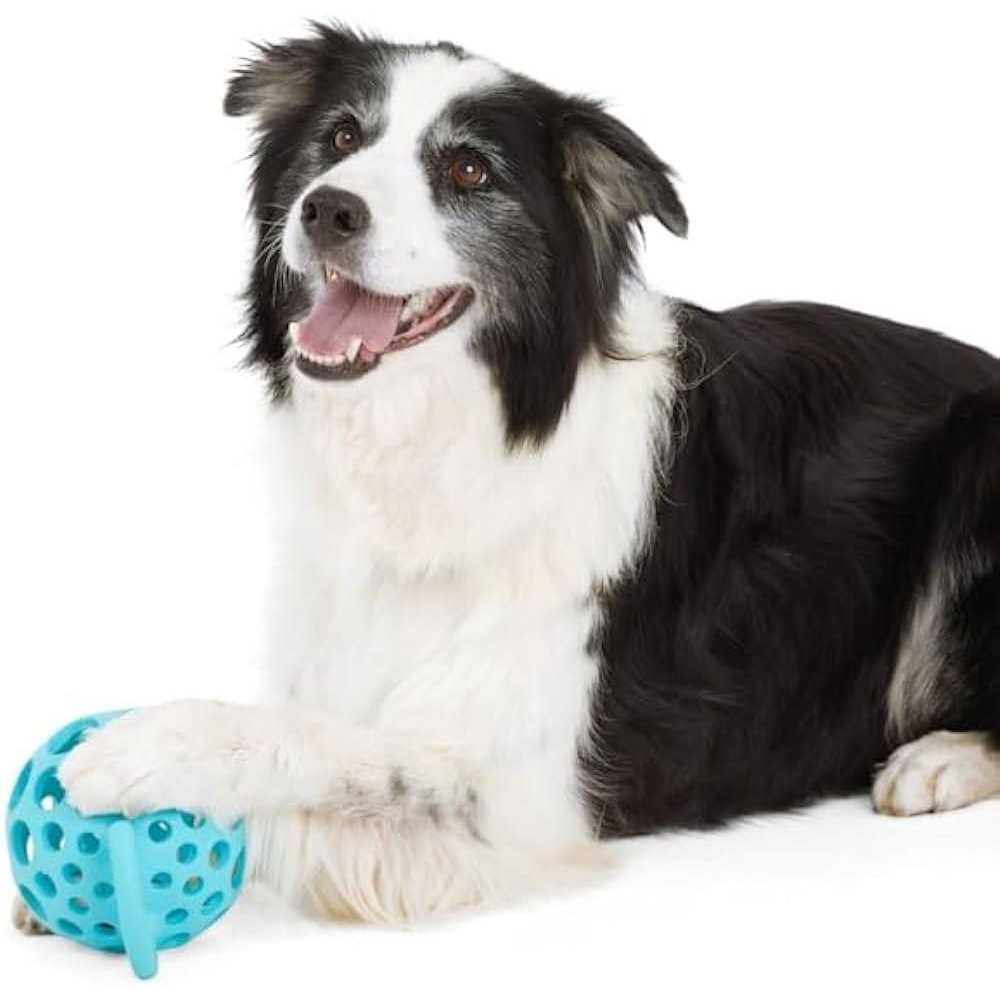 Dog Toy with Handle B83975