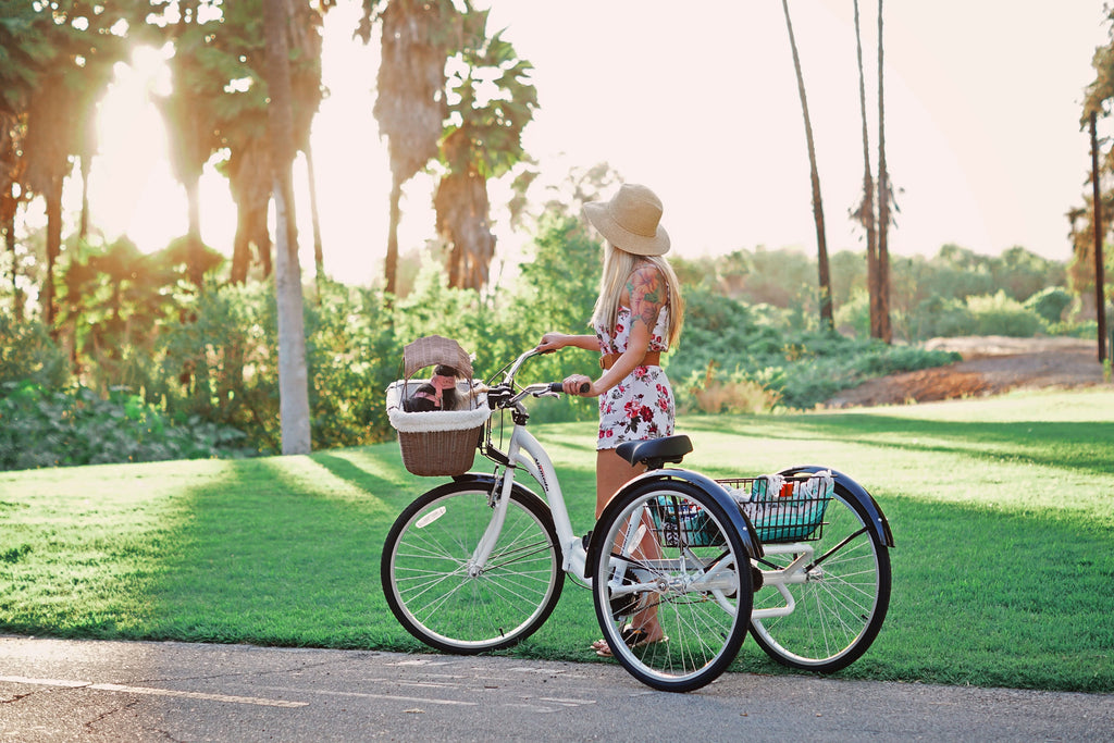 Blue Folding Adult Trike D700707