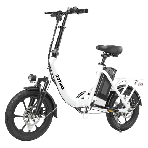 16" Folding Electric Bike with Removable Battery L561
