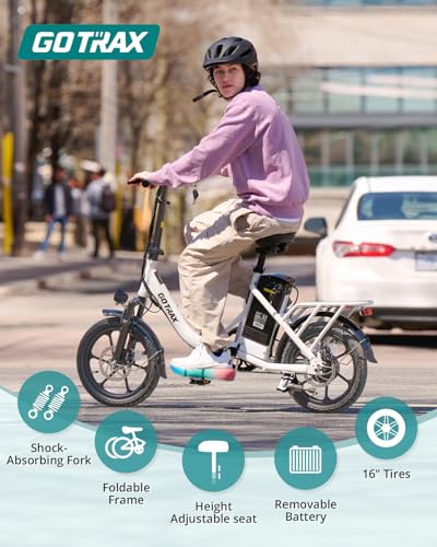 16" Folding Electric Bike with Removable Battery L561