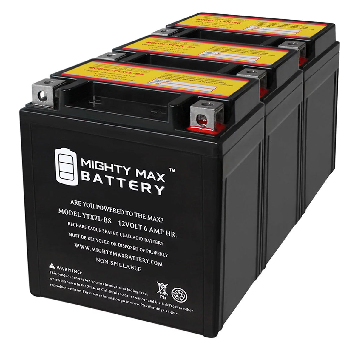 12 Volt 6 AH 100 CCA SLA AGM Motorcycle Battery O661273