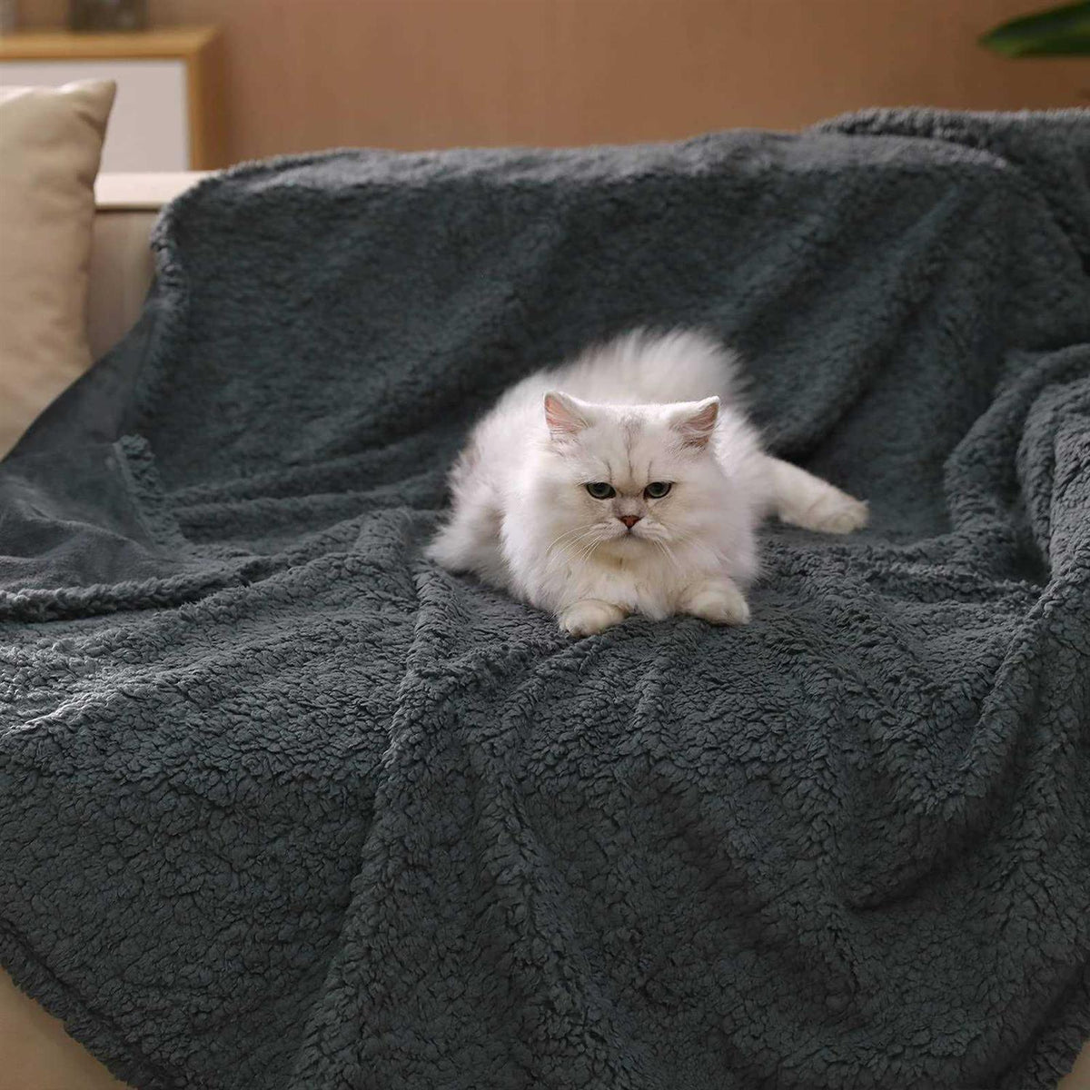 Waterproof Pet Blanket Z38767