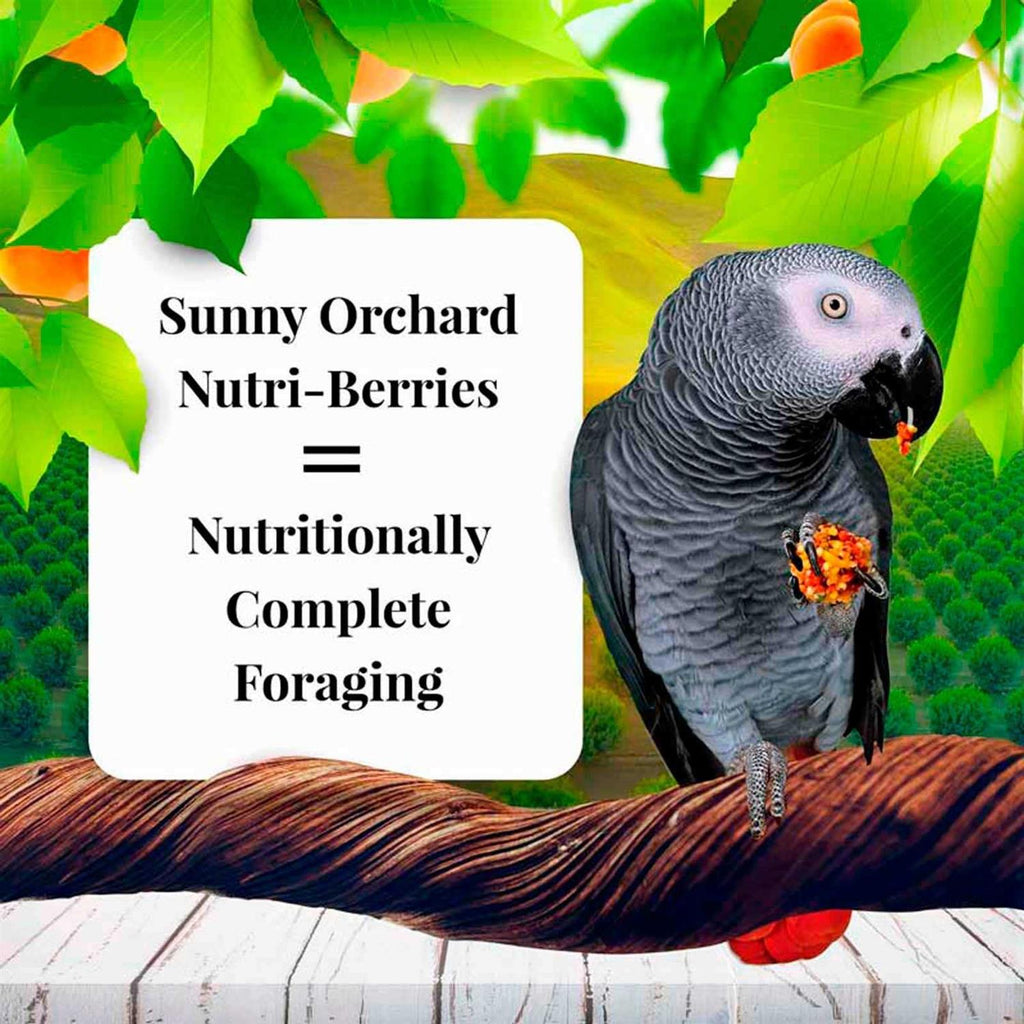 Sunny Orchard Pet Supplies R571498