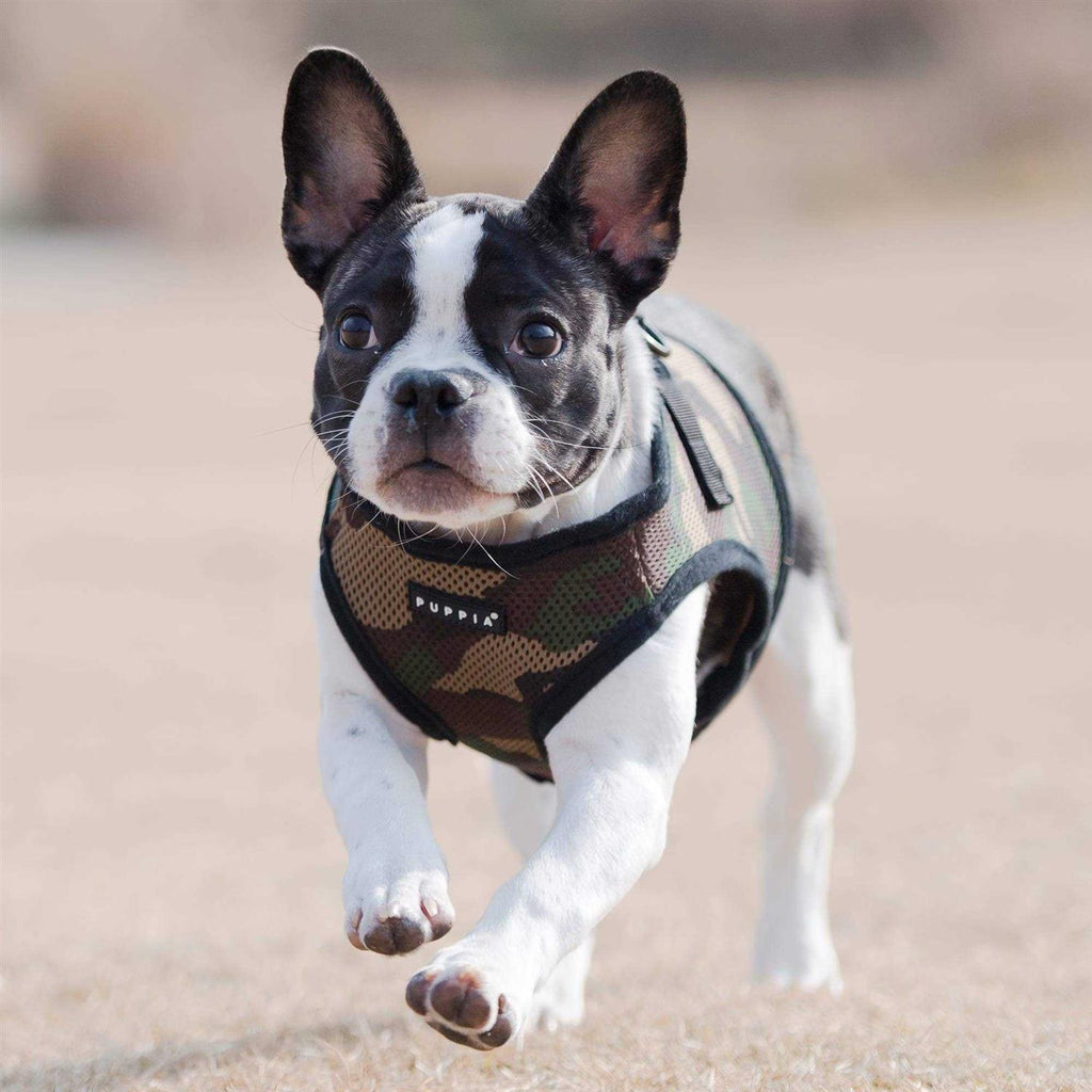 Soft Vest Harness W200