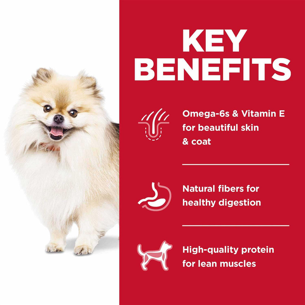 Dry Dog Food R552259