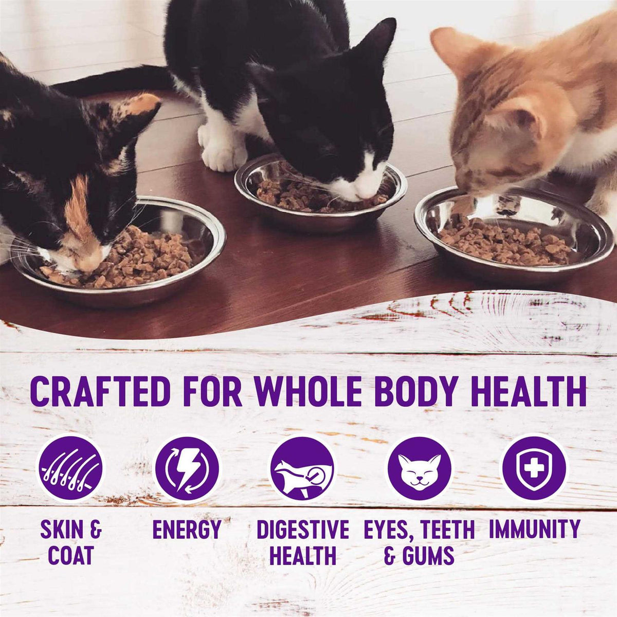 Grain-Free Wet Cat Food Pouch I729