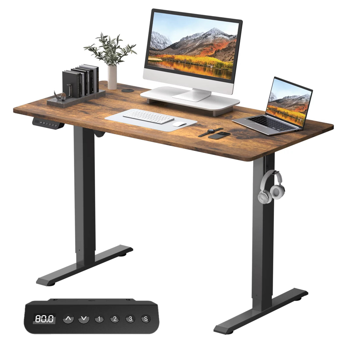48 x 24 Inch Electric Standing Desk Y5586