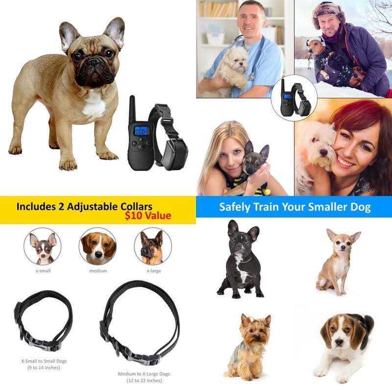 Shock Collar for Small Dogs with Remote B466350