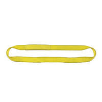 4 Ply 8x22 x 11& Endless Polyester Web Sling R8363