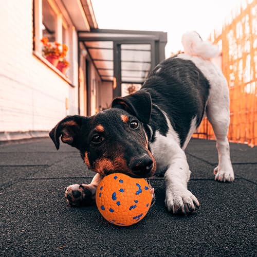 Interactive Tennis Fetch Ball Toy for Dogs R2859