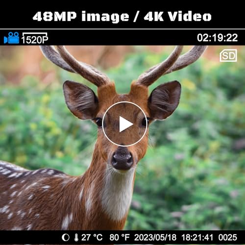 4K 48MP Night Vision Trail Camera V30324