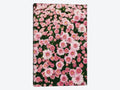 Canvas Prints J6751