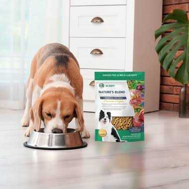 Freeze-Dried Dog Food K453882