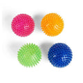 Spiny Ball Dog Chew Toy W599
