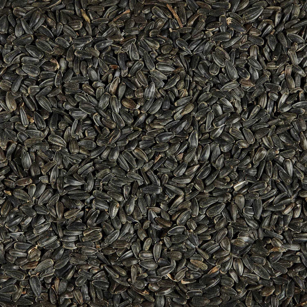 Black Oil Sunflower Seed Wild Bird Food V40463
