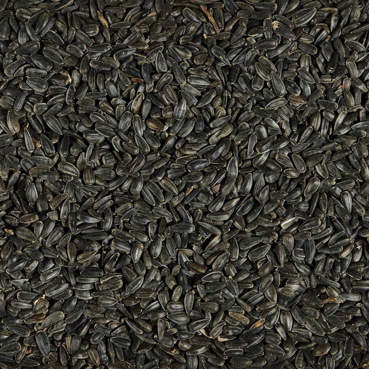 Black Oil Sunflower Seed Wild Bird Food V40463