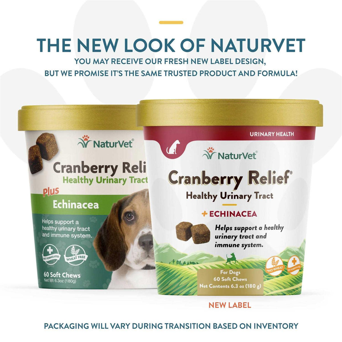 Cranberry Relief Plus Echinacea Soft Chews for Dogs G148