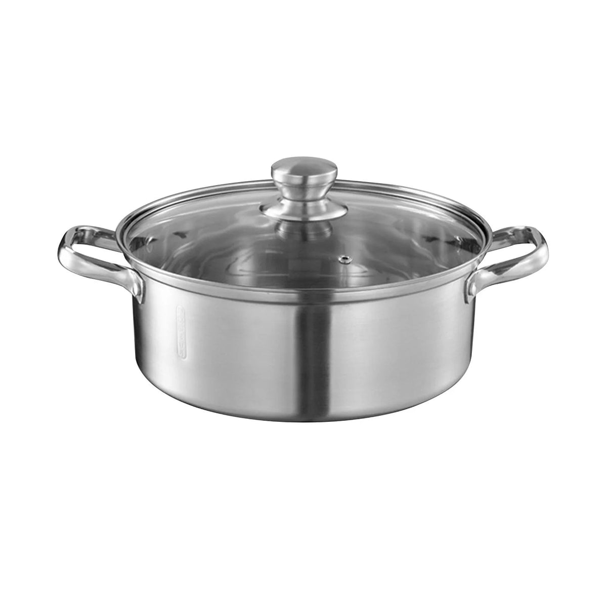 Stainless Steel Stockpot with Lid H262