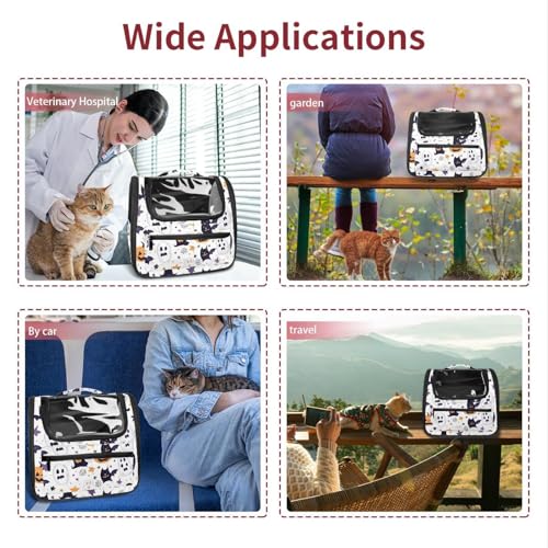 Ventilated Pet Travel Carrier D23847