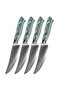 Steak Knife Set Of 4 R593