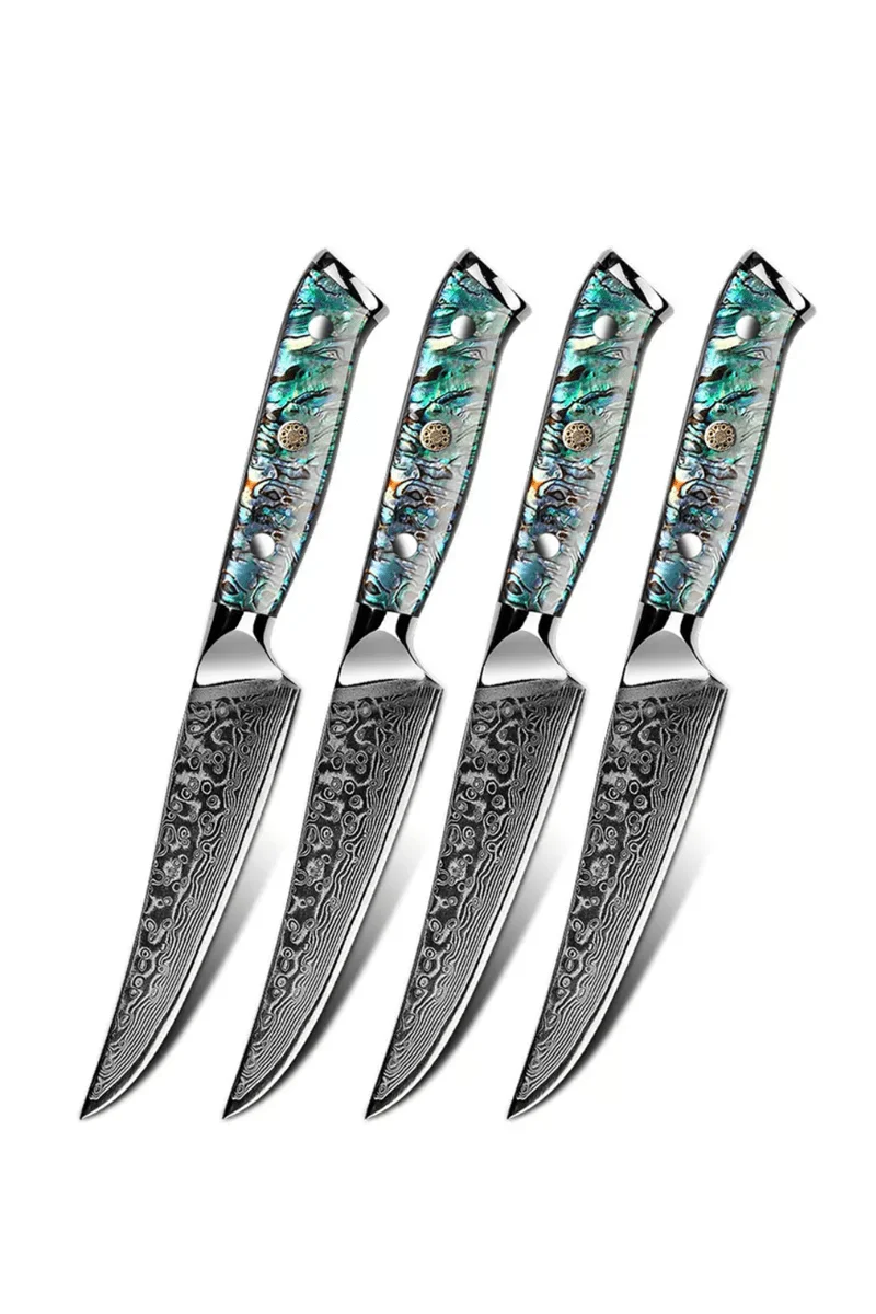 Steak Knife Set Of 4 R593
