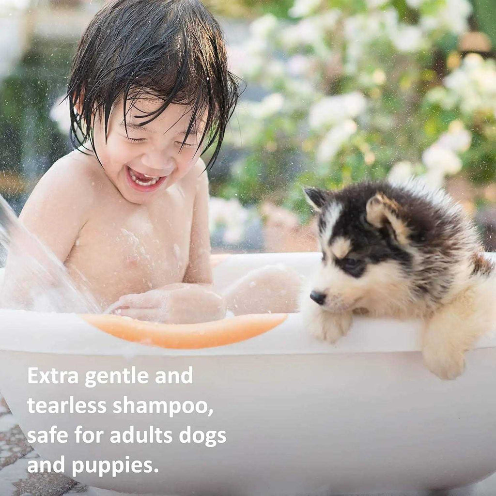 Extra Gentle Tearless Shampoo P914085