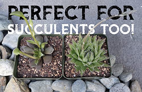 Cactus Potting Mix with Mycorrhizal Fungi 8 Pounds L8822