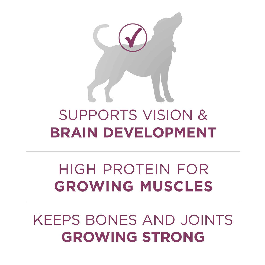 High Protein Dry Dog Food Y751
