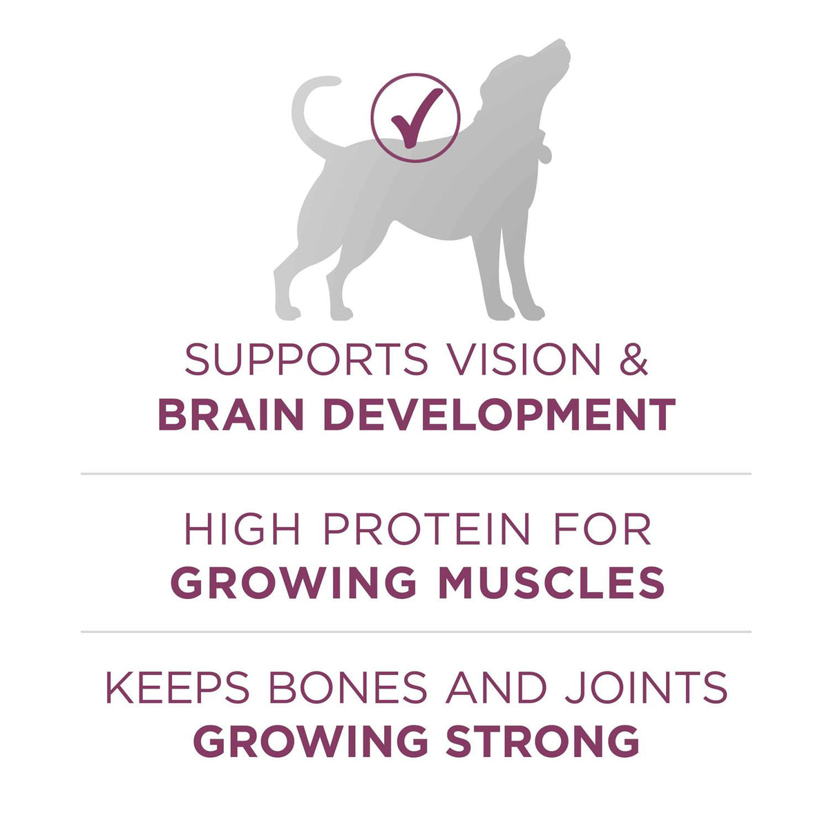 High Protein Dry Dog Food Y751