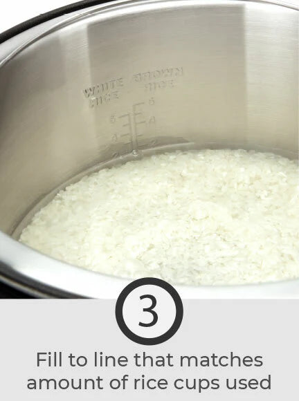 6 Cup Multi-Function Rice Cooker Z409