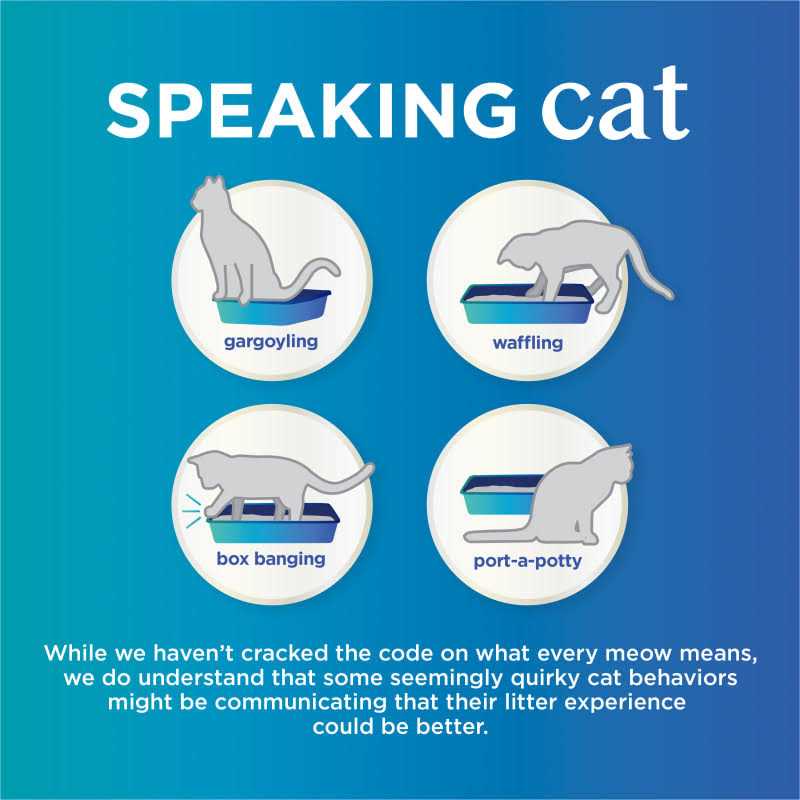 Scented Clumping Cat Litter T157