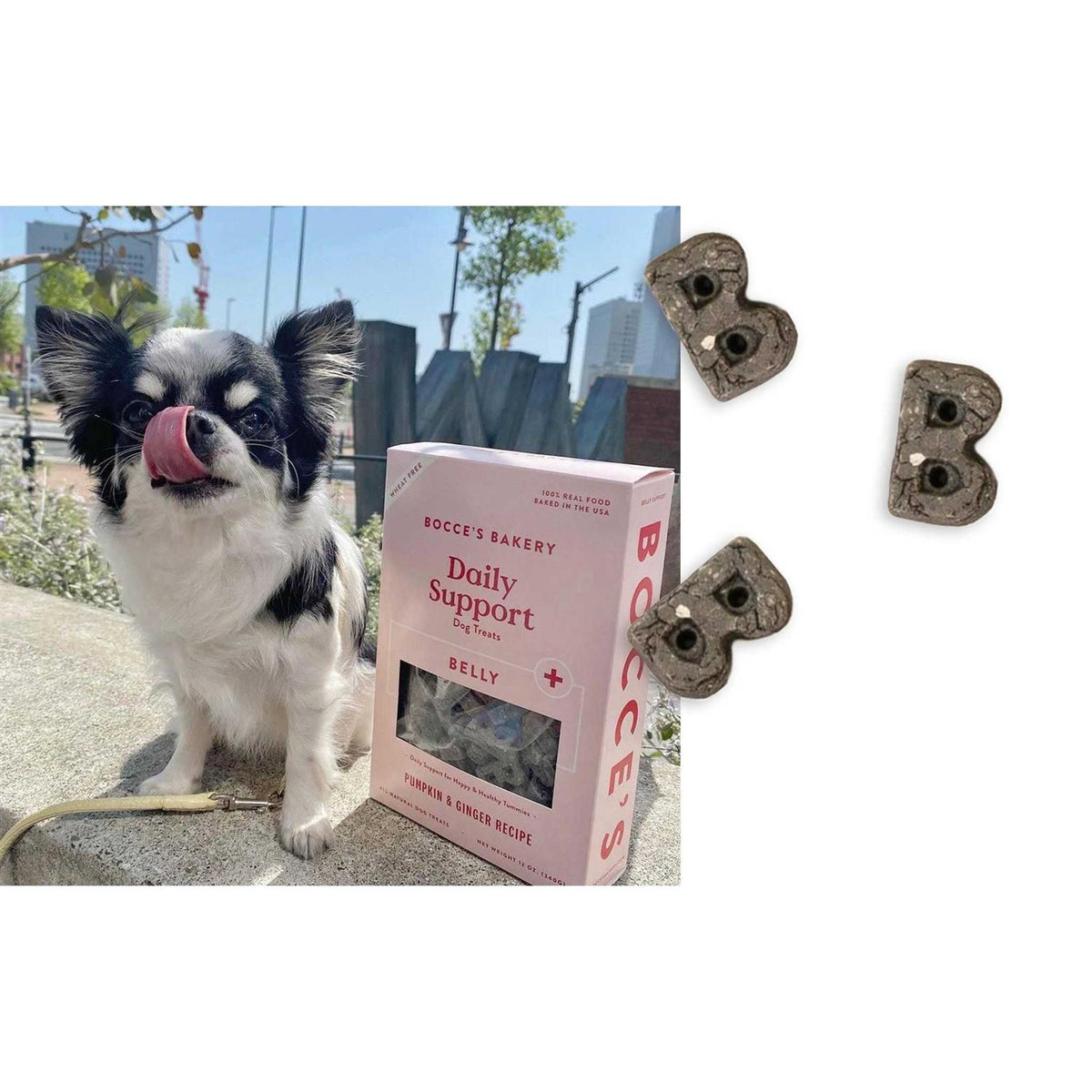 Dog Breath Aid Treats 12oz T13891