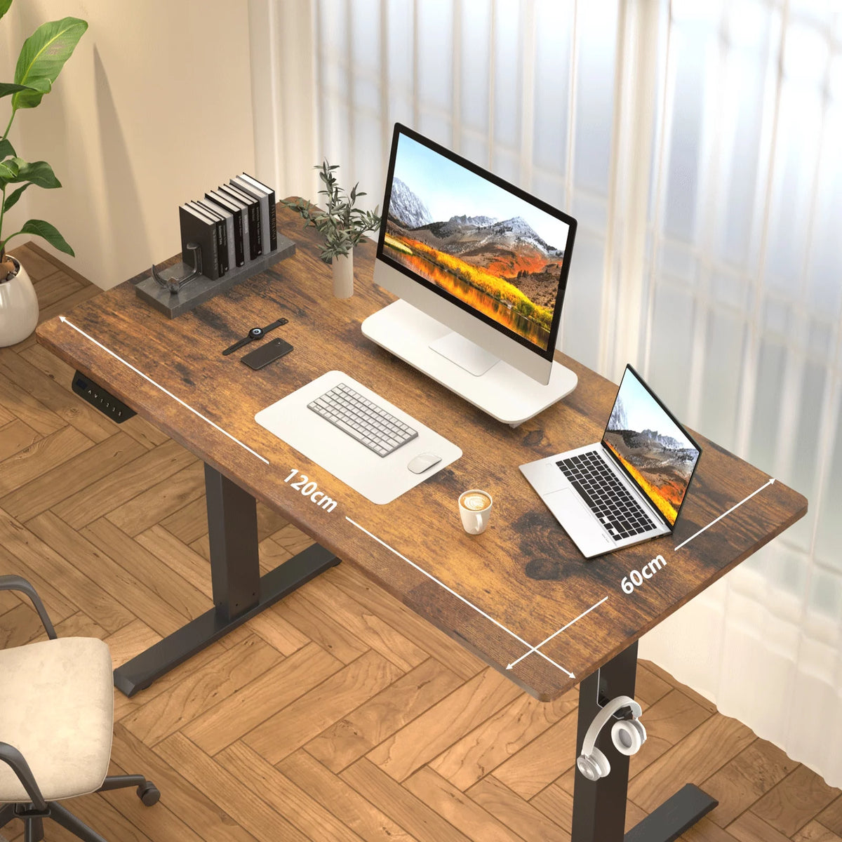 48 x 24 Inch Electric Standing Desk Y5586