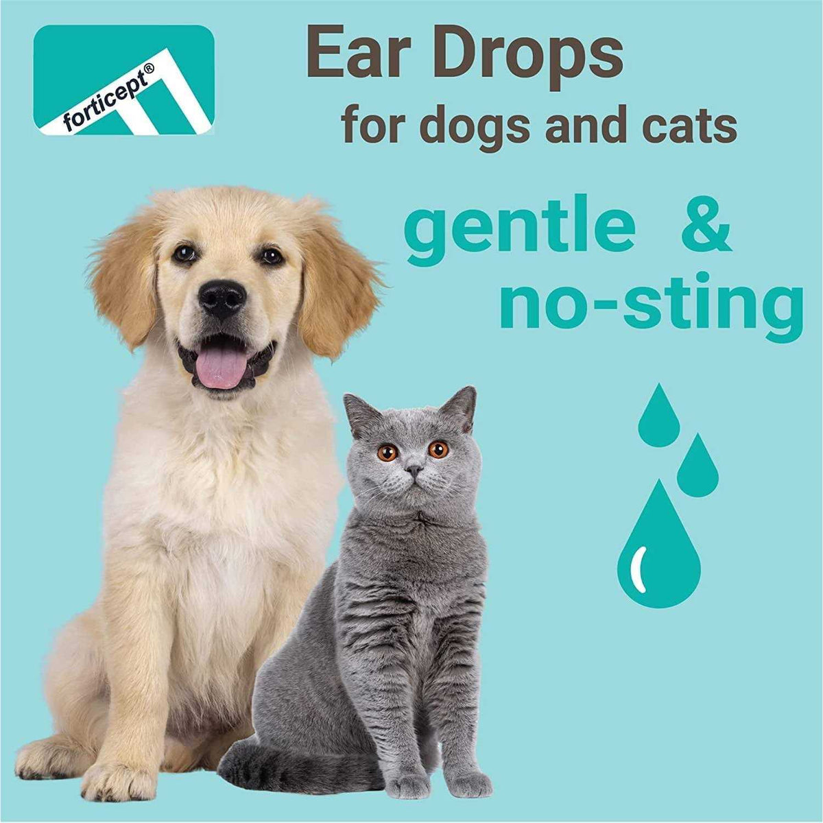 Yeast Ear Infection & Itch Relief Cat & Dog Ear Wash Cleaner S629909
