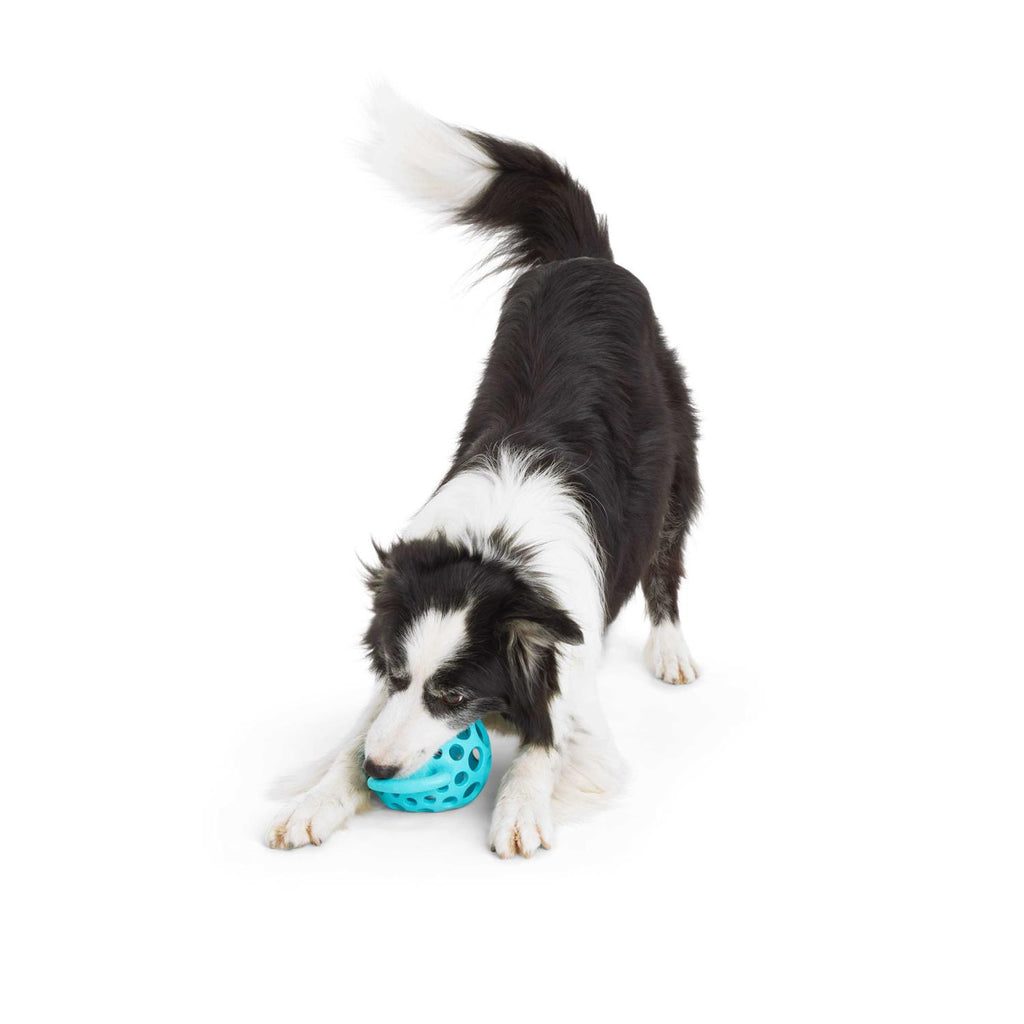 Dog Toy with Handle B83975