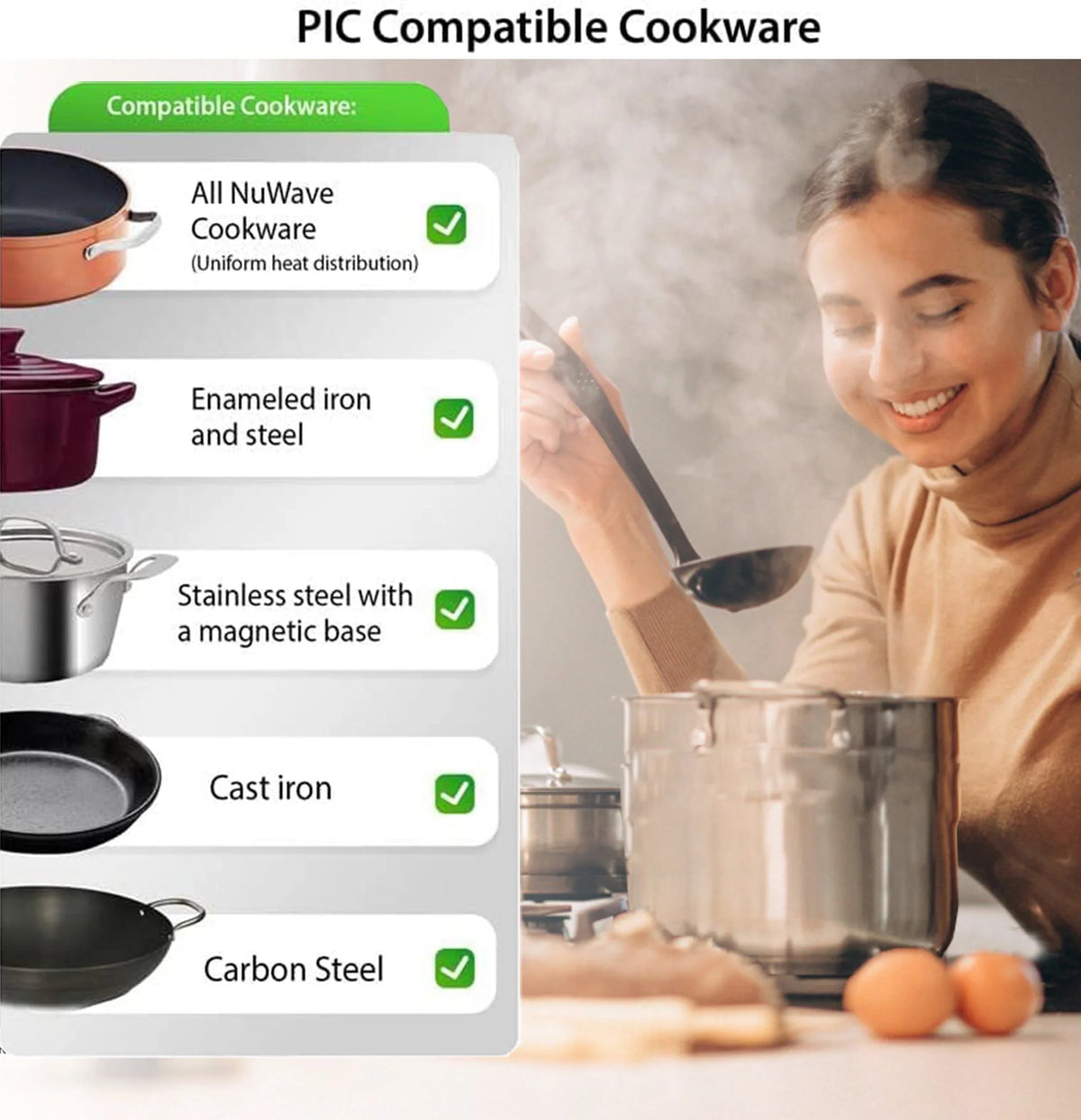 1800w Induction Cooktop Portable Commercial-Grade N791